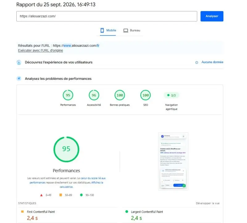 Audit Google PageSpeed Insights sur mobile affichant 95 sur 100 en performance et 96 sur 100 en accessibilité
